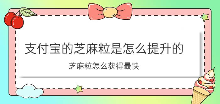 支付宝的芝麻粒是怎么提升的 芝麻粒怎么获得最快？